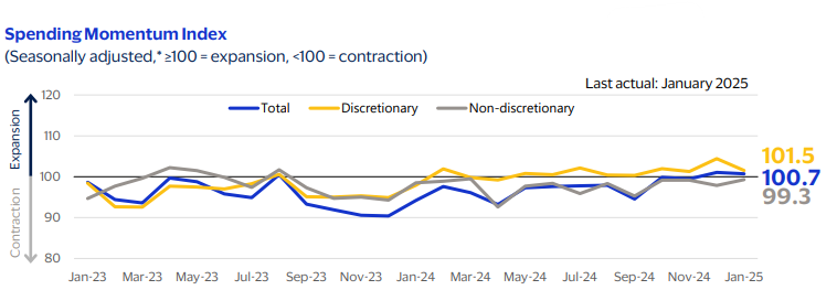 Visa Spending Momentum Index